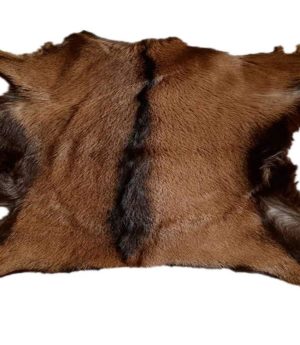 Goat Skins/ Hide