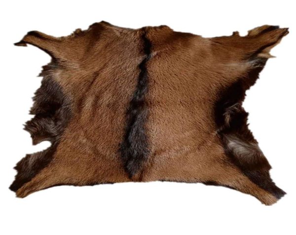 Goat Skins/ Hide
